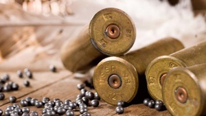 bullets