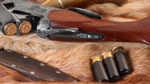 bullets_gladkomu
