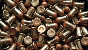bullets_flober