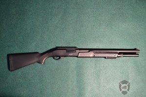 ATA_ARMS_ETRO_12_76_7+1_exposure