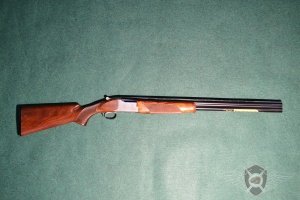 Browning_B525_12M_Game_1,71_INV_exposure