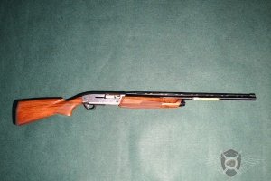 Browning_Fusion_Evolve_Elegance_12_71_exposure