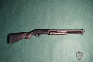 Hatsan_Escort_Aimguard_20_76_exposure