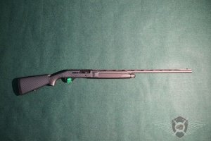 Stoeger_2000_carbon_exposure